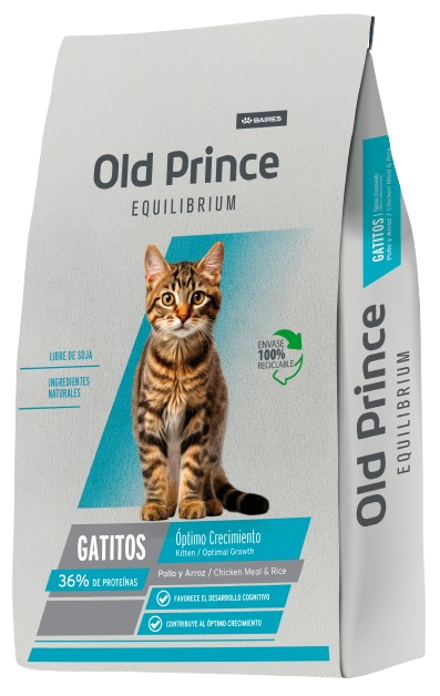 Old Prince Equilibrium Kitten