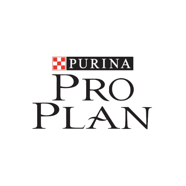 Pro Plan